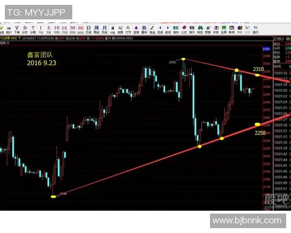 墨西哥与委内瑞拉精彩对决直播全程回顾与分析