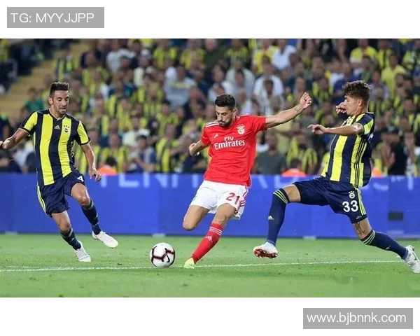 英冠焦点战伯明翰主场迎战加的夫城期待精彩对决