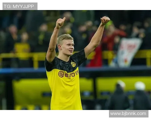 哈兰德：从挪威天才到欧洲足坛新霸主的崛起之路