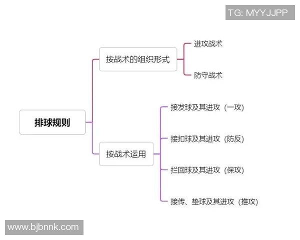 武汉排球队的转换打法深度解析与战术创新探讨